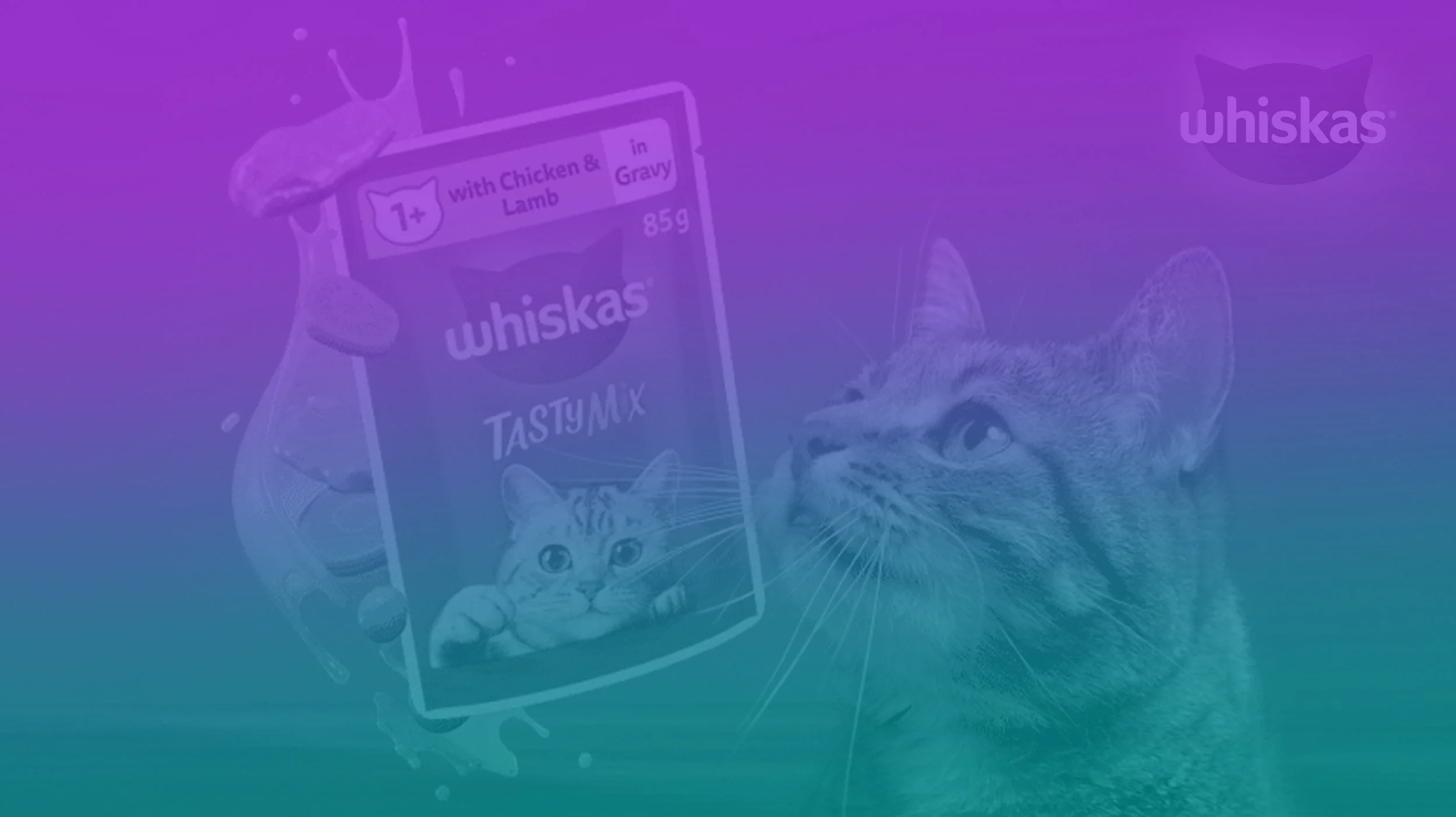 LD_Web_2024_Project Covers - Whiskas-F.jpg