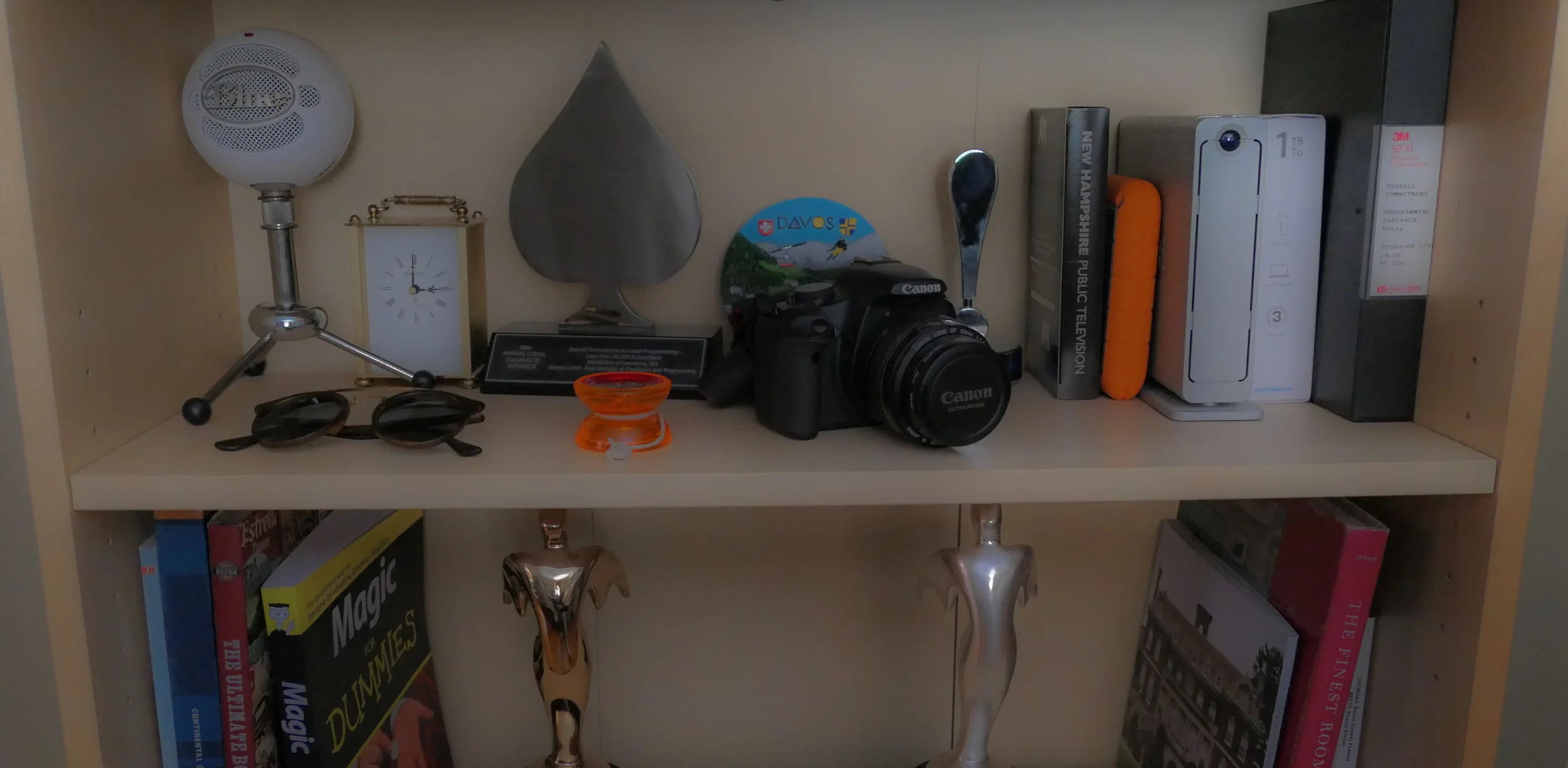 Bookcase 2.jpg