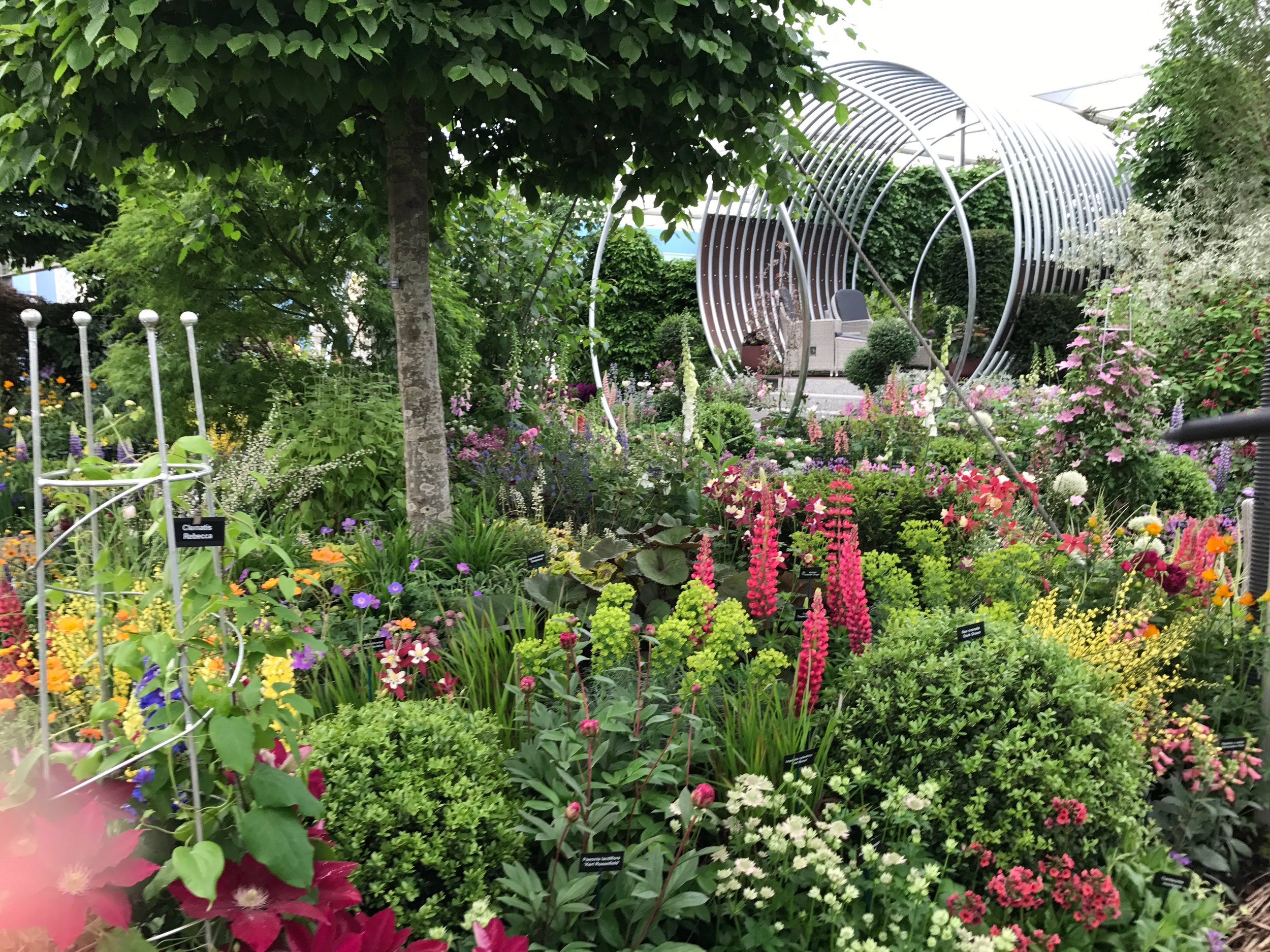 Royal Horticultural Society (RHS) Chelsea Flower Show - Gillian Goodson Designs