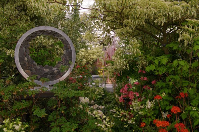 Hillier Gold Garden at The Royal Horticultural Society Chelsea Flower Show 2013