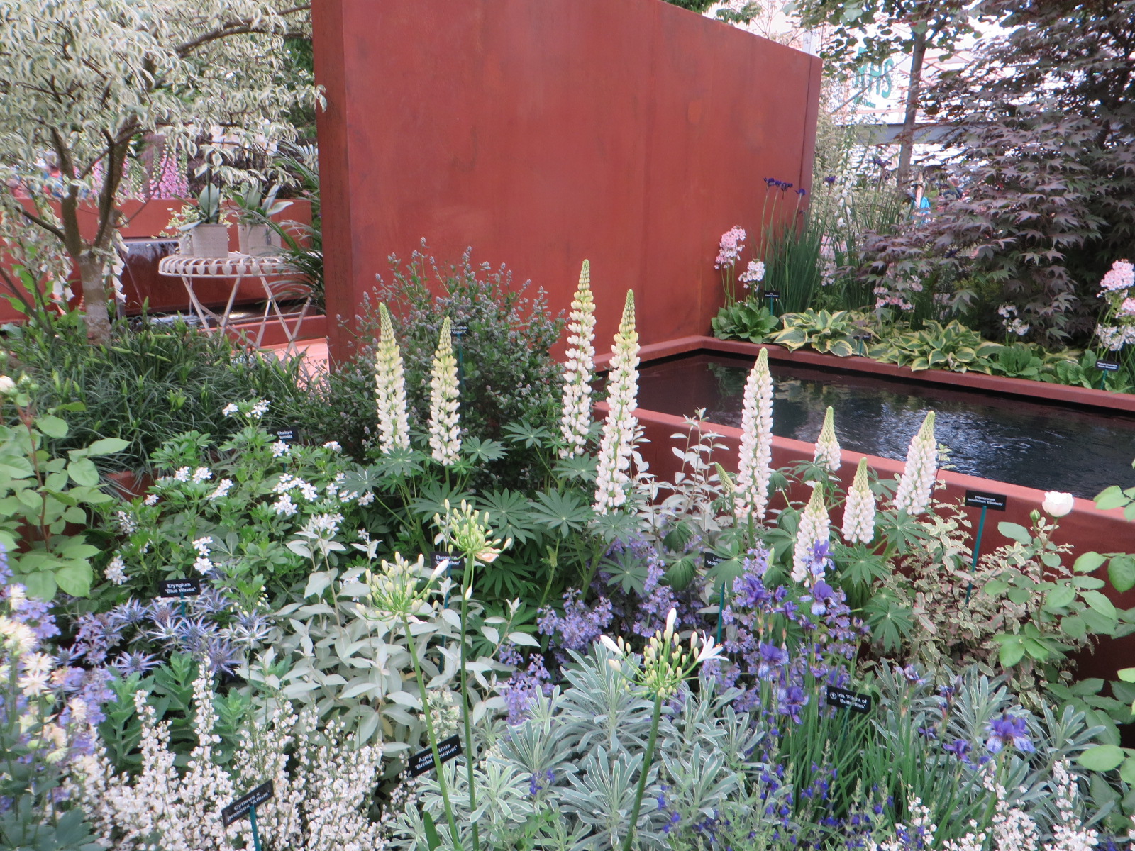 Hillier Garden Chelsea 2018 Gillian Goodson Designs_6.JPG