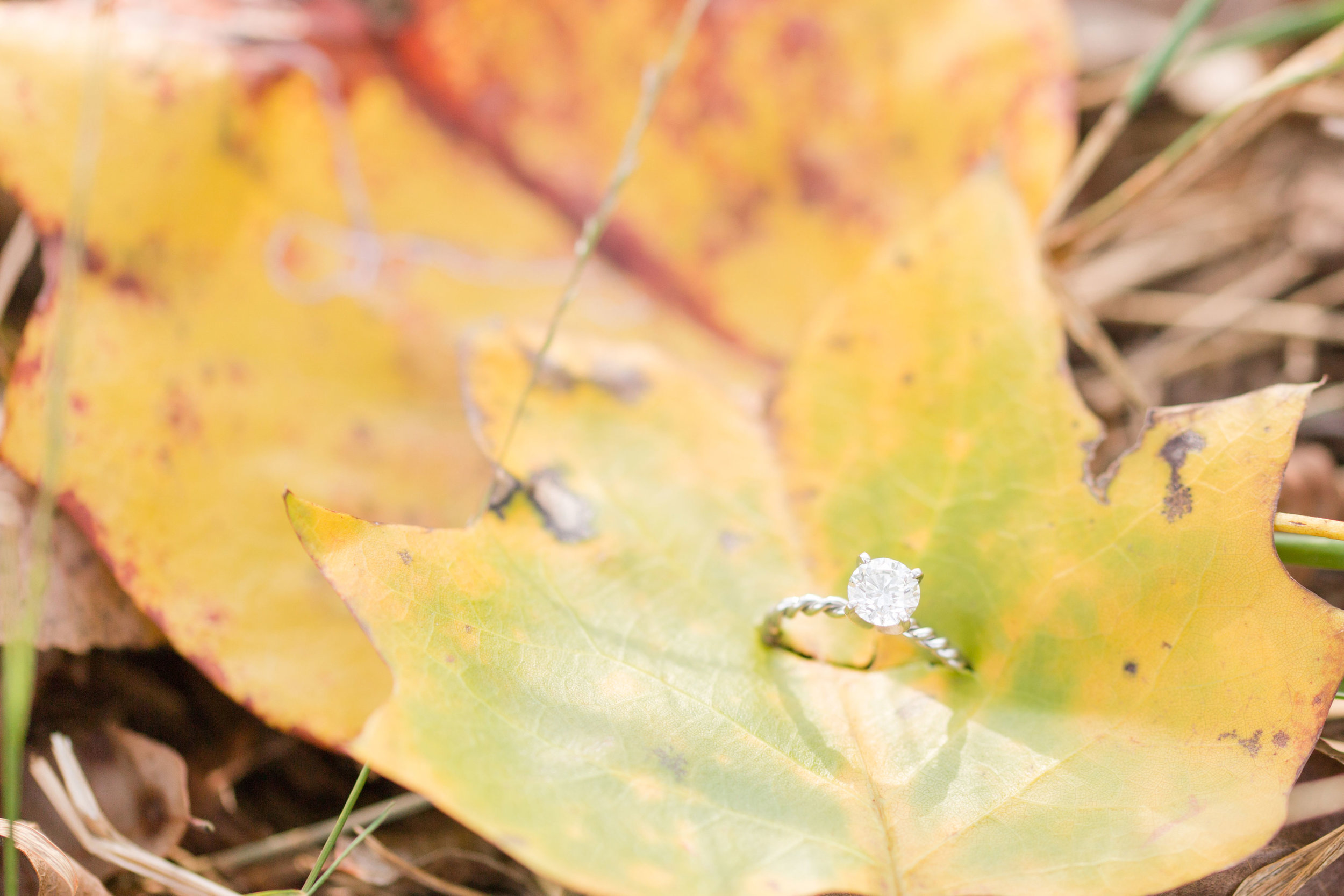 athens_ga_wedding_photographers-86.jpg