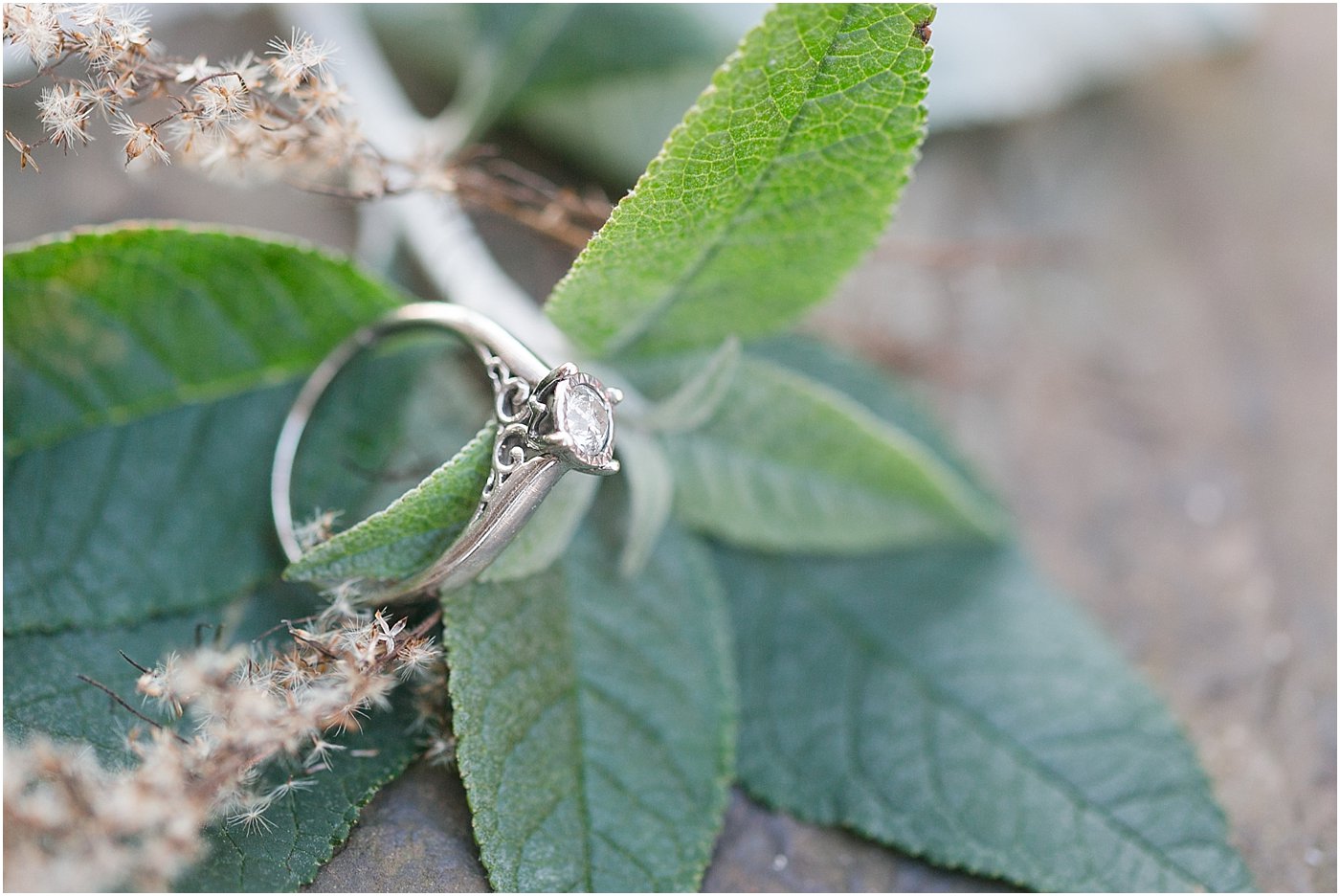 covington_ga_wedding_photographers_holly_l_robbins_0041.jpg