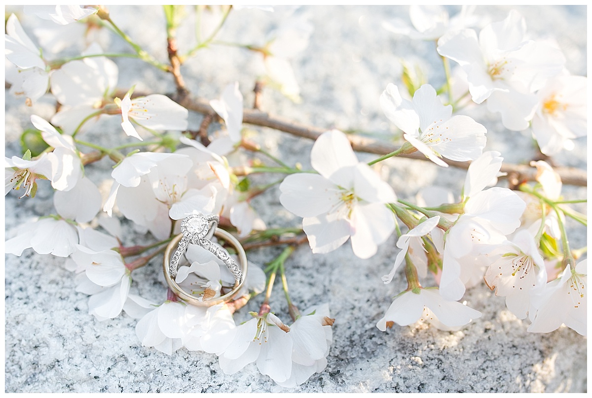 9_Oaks_Farm_The_Whitehouse_Monroe_Ga_Wedding_Photograpehrs_0092.jpg