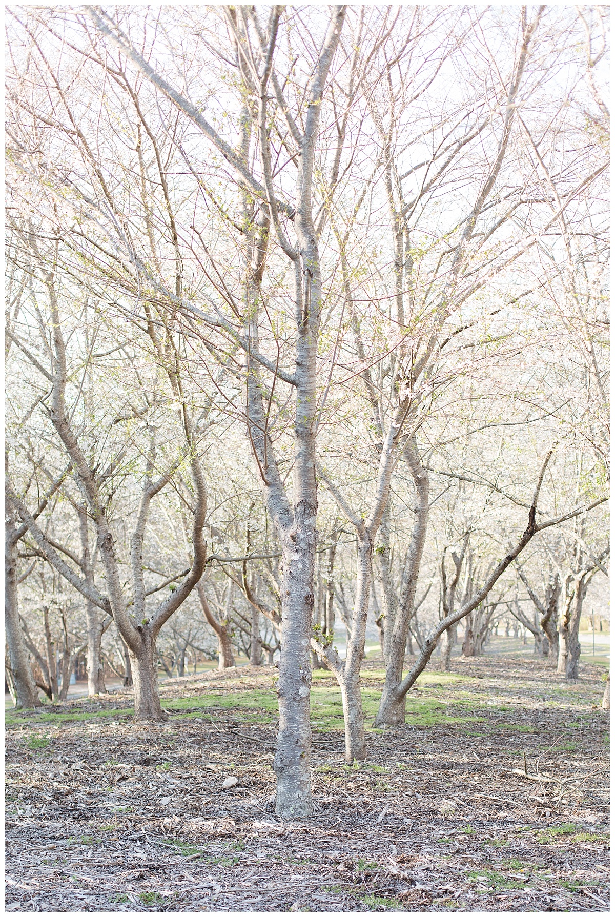 9_Oaks_Farm_The_Whitehouse_Monroe_Ga_Wedding_Photograpehrs_0093.jpg