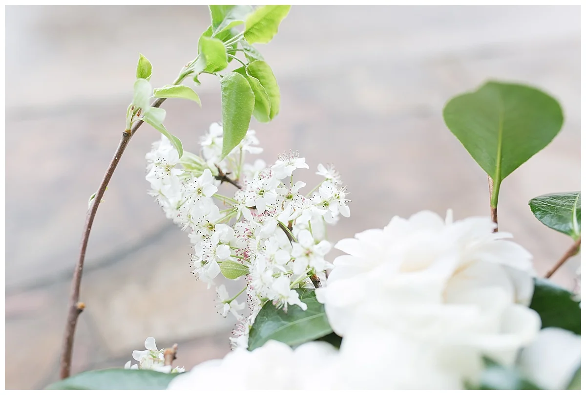 Scott's_Downtown_Monroe_Ga_Wedding_Photograpehrs_0035.jpg