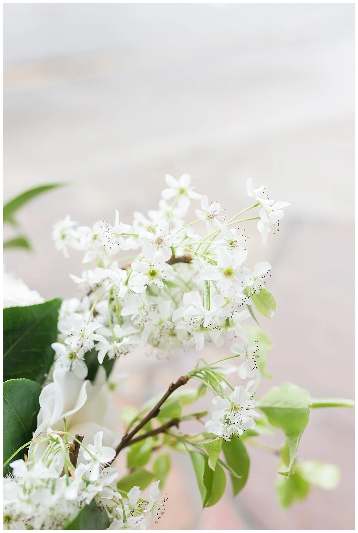 Scott's_Downtown_Monroe_Ga_Wedding_Photograpehrs_0036.jpg