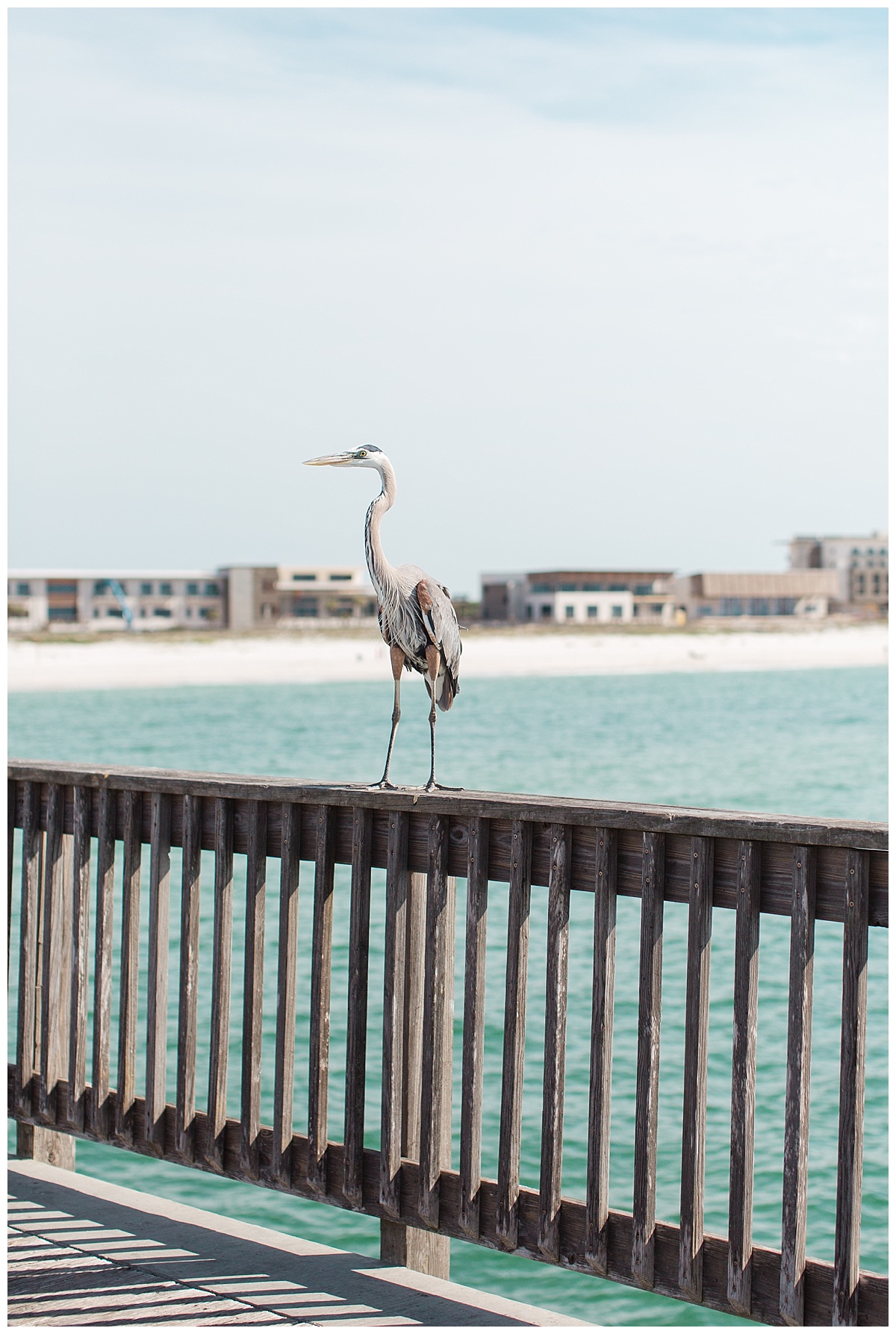 orange_beach_alabama_wedding_photographers_0065.jpg