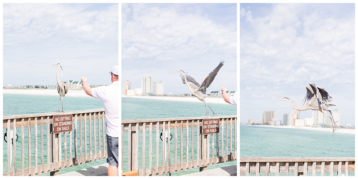 orange_beach_alabama_wedding_photographers_0070.jpg