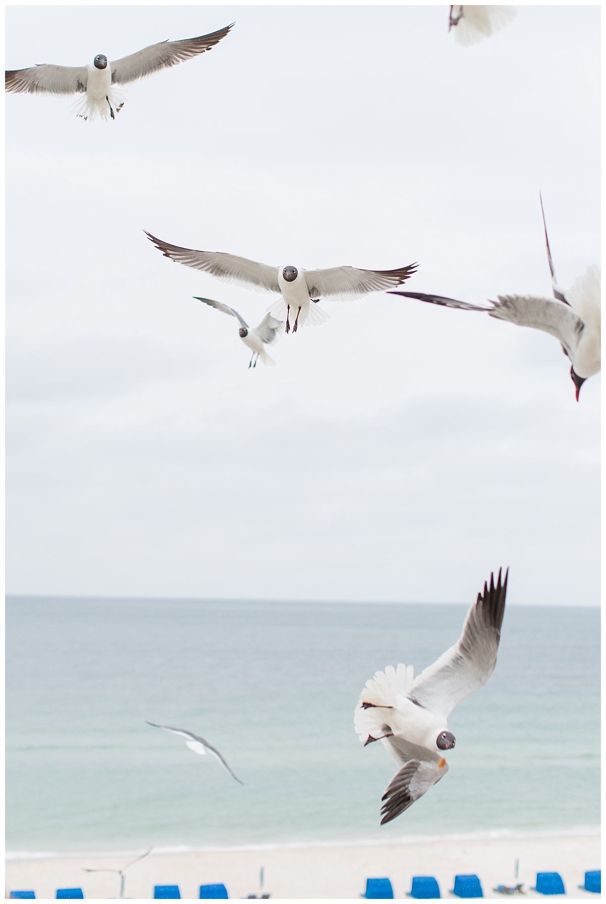 orange_beach_alabama_wedding_photographers_0081.jpg