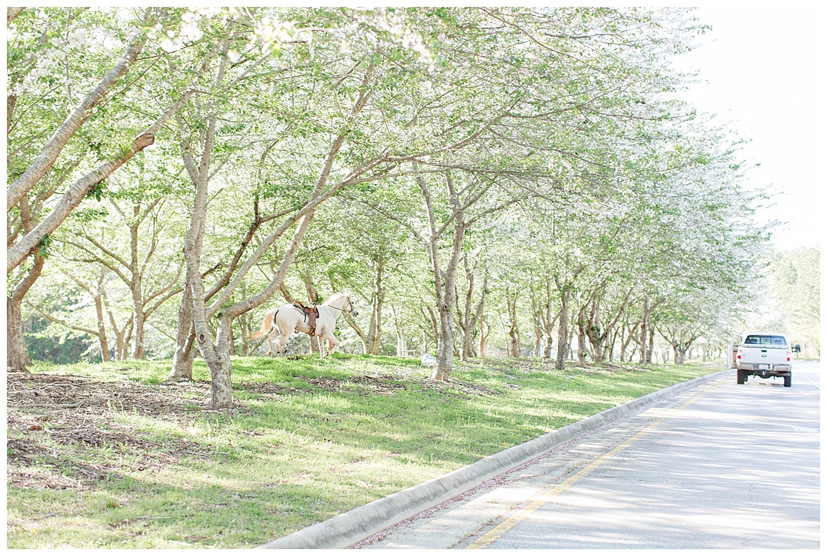 orange_beach_alabama_wedding_photographers_0102.jpg