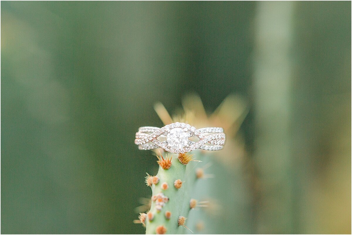 atlanta_botanical_gardens_engagement_sessions_0058.jpg