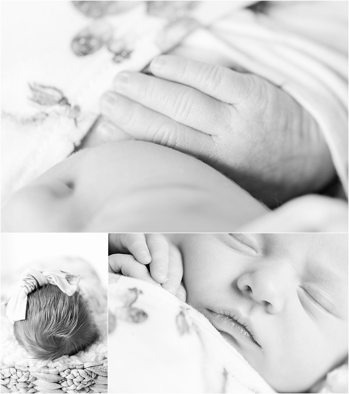 social_circle_newborn_photography_0008.jpg