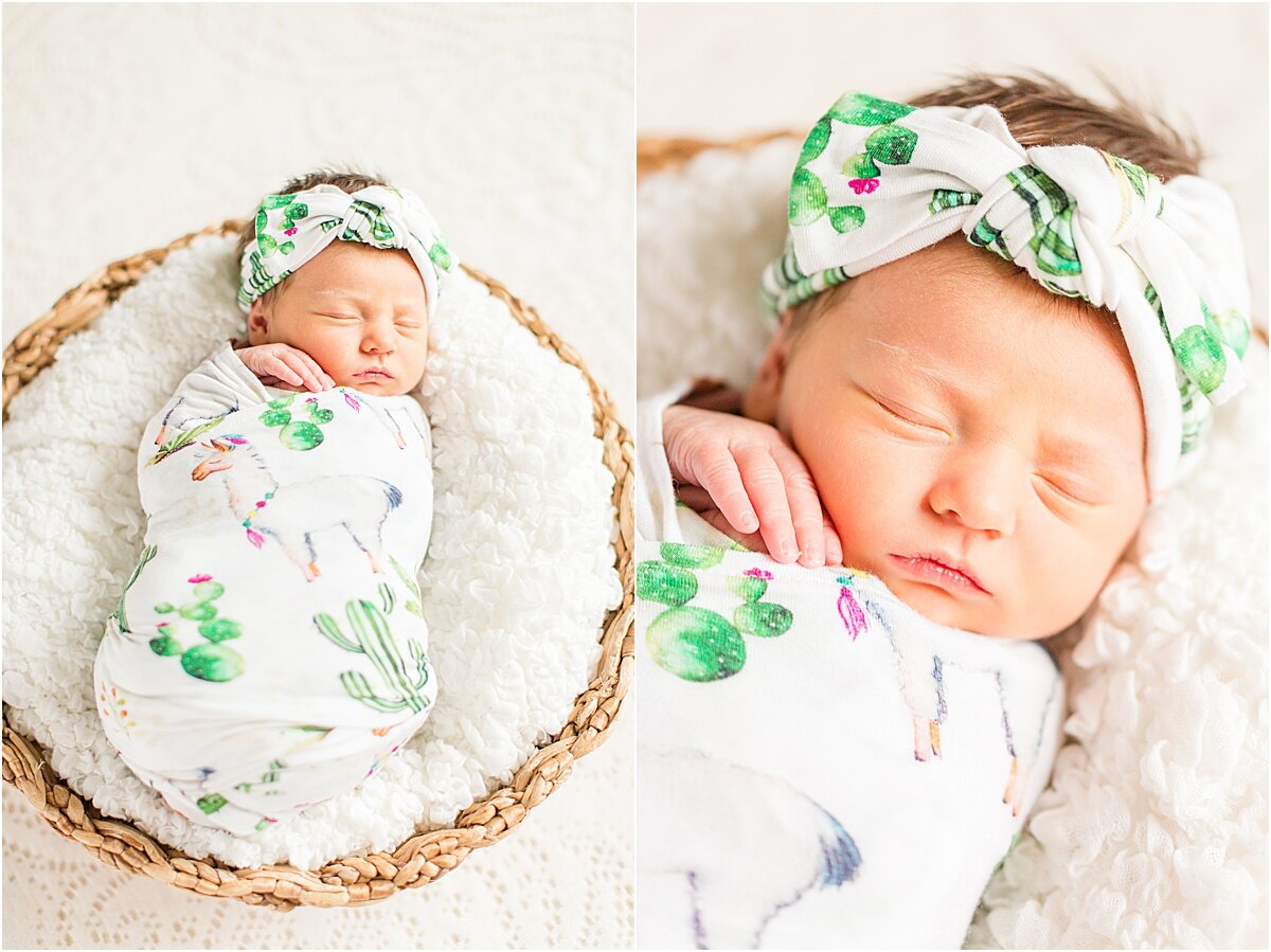 social_circle_newborn_photography_0009.jpg