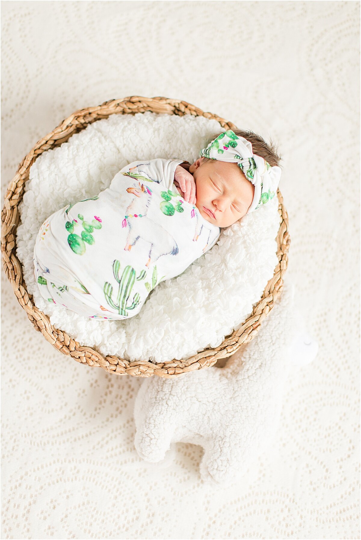 social_circle_newborn_photography_0010.jpg