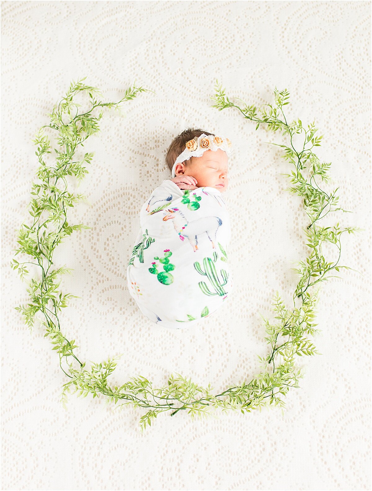 social_circle_newborn_photography_0011.jpg