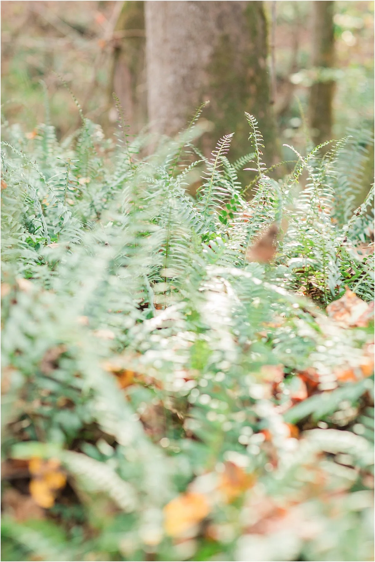 Morris Family Social Circle, Ga. — Holly L. Robbins Photography