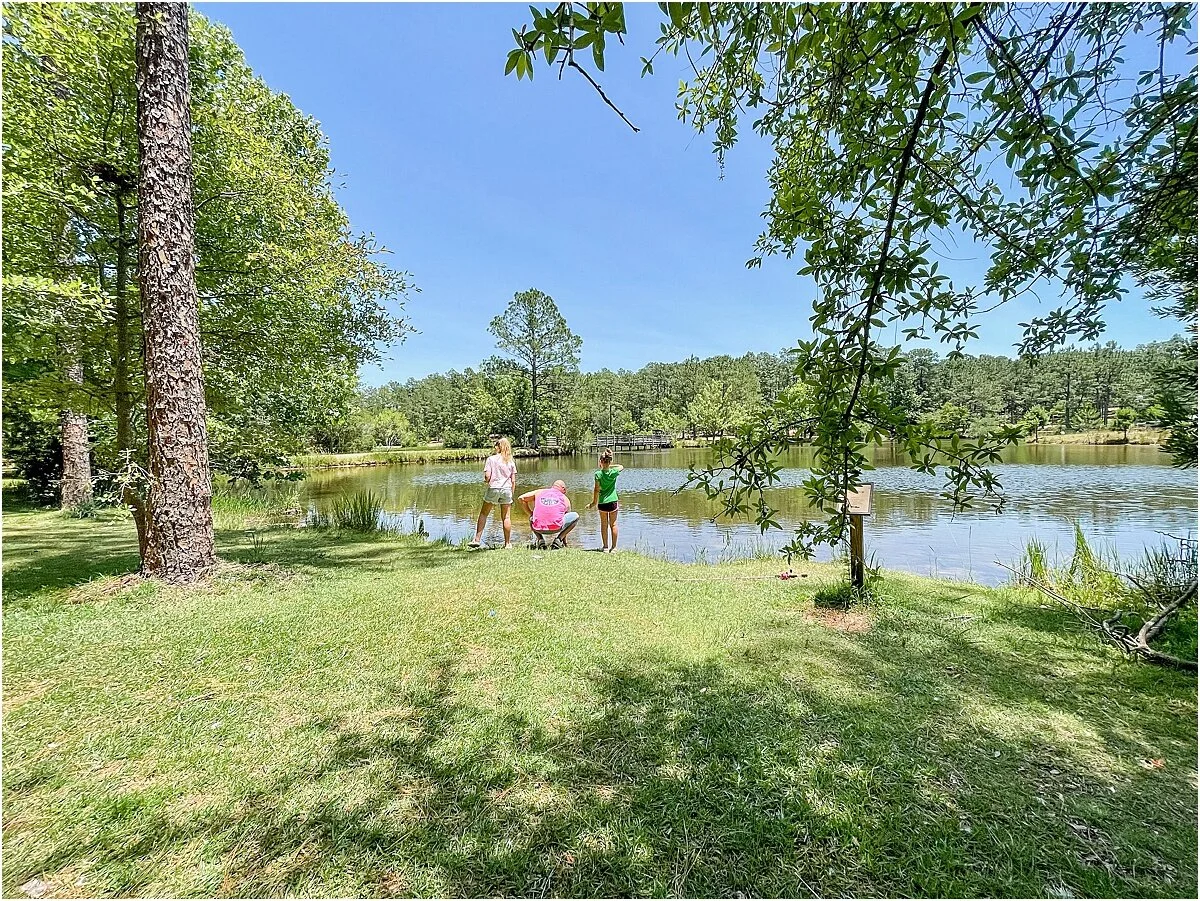 GENERAL COFFEE STATE PARK DOUGLAS, GA. — Holly L. Robbins Photography
