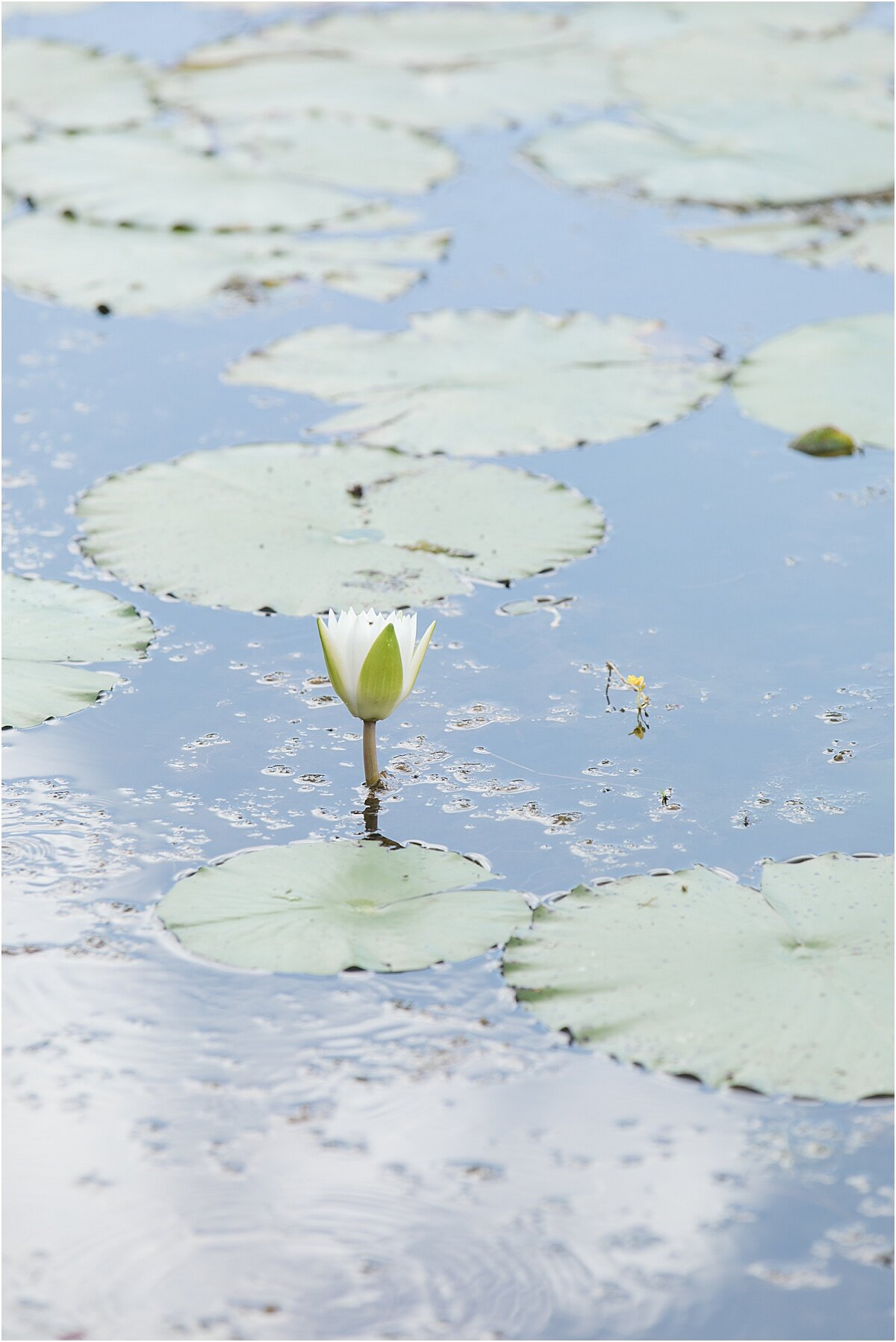 SAVANNAS_FT_PIERCE_FL_SOCIAL_CIRCLE_GA_PHOTOGRAPHERS_0024.jpg