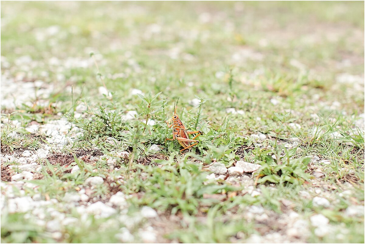 CHOKOLOSKEE_ISLAND_EVERGLADES_FLORIDA_SOCIAL_CIRCLE_GA_PHOTOGRAPHERS_0038.jpg