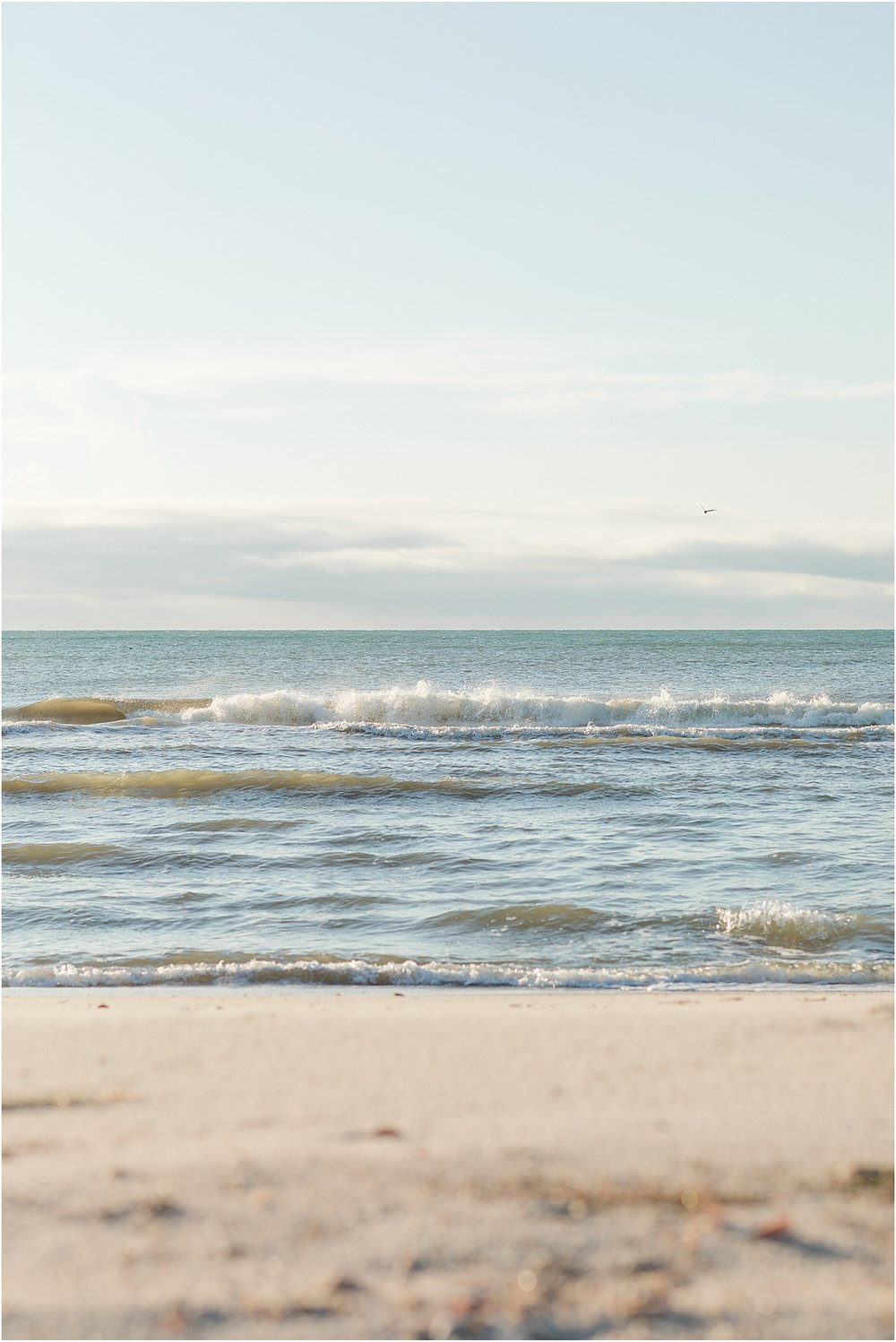 St_George_Island_Fl_Holly_L_Robbins_Photography_0129.jpg