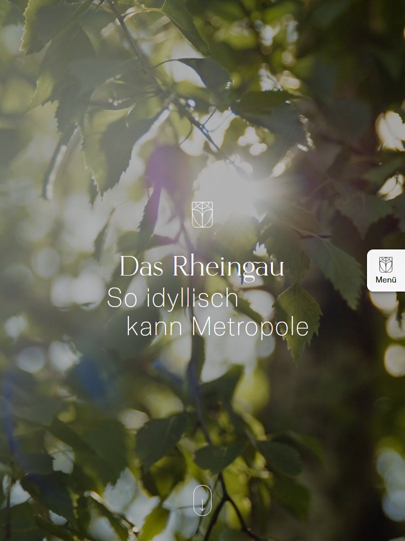 Website für das Immobilienprojekt Das Rheingau, Berlin-Friedenau | Kunde: JONASGOLD Kommunikation und Design, Berlin | Text | 2024–2025