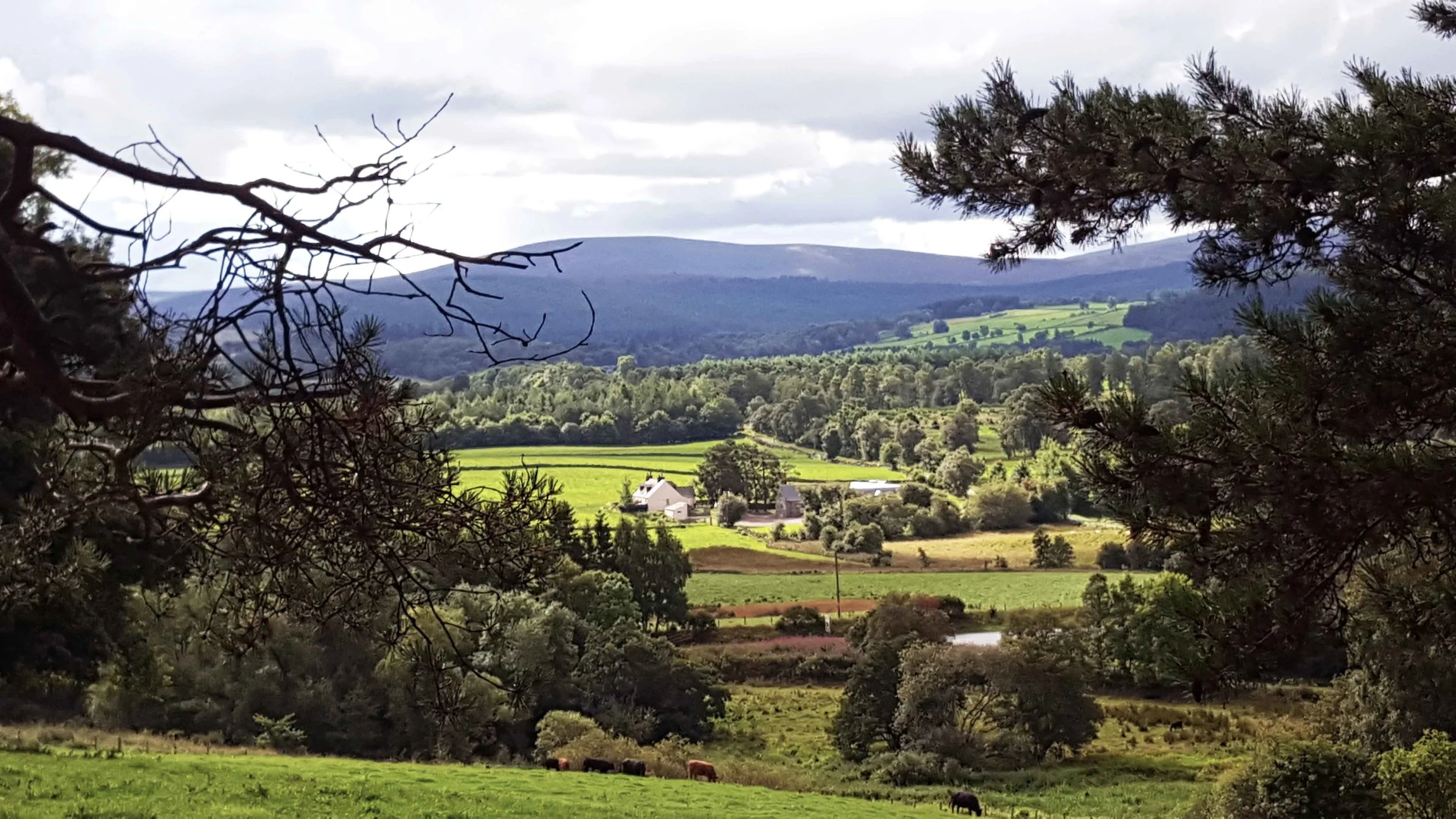 Mill of Dess Lodge viewed from a woodland section of the Deeside Way.
