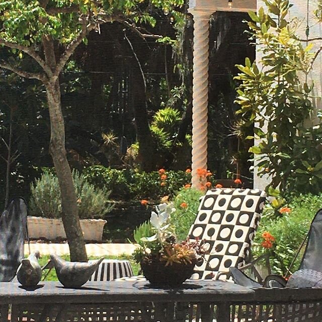 Pretty day to be at home! #Grilling #familytime #outdoors #sarasota
