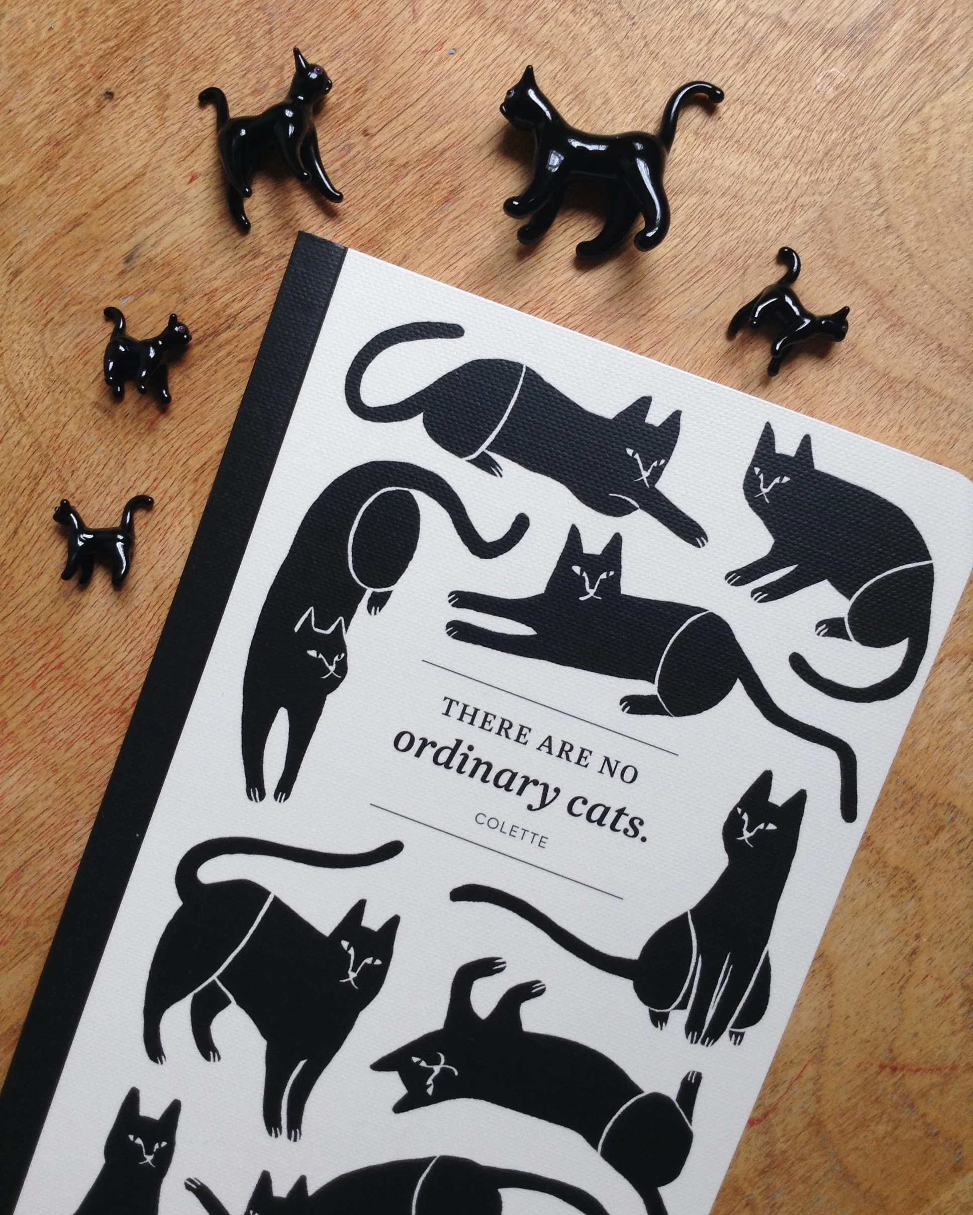 "There Are No Ordinary Cats" Write Now Journal for Compendium - cover