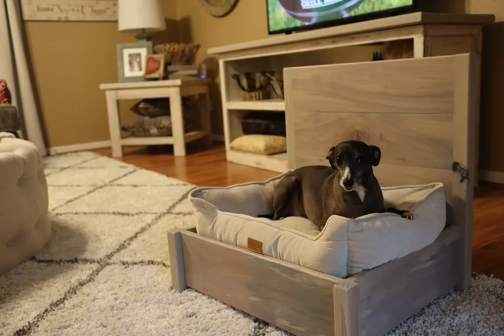 How to Build a DIY Dog Bed — 731 Woodworks