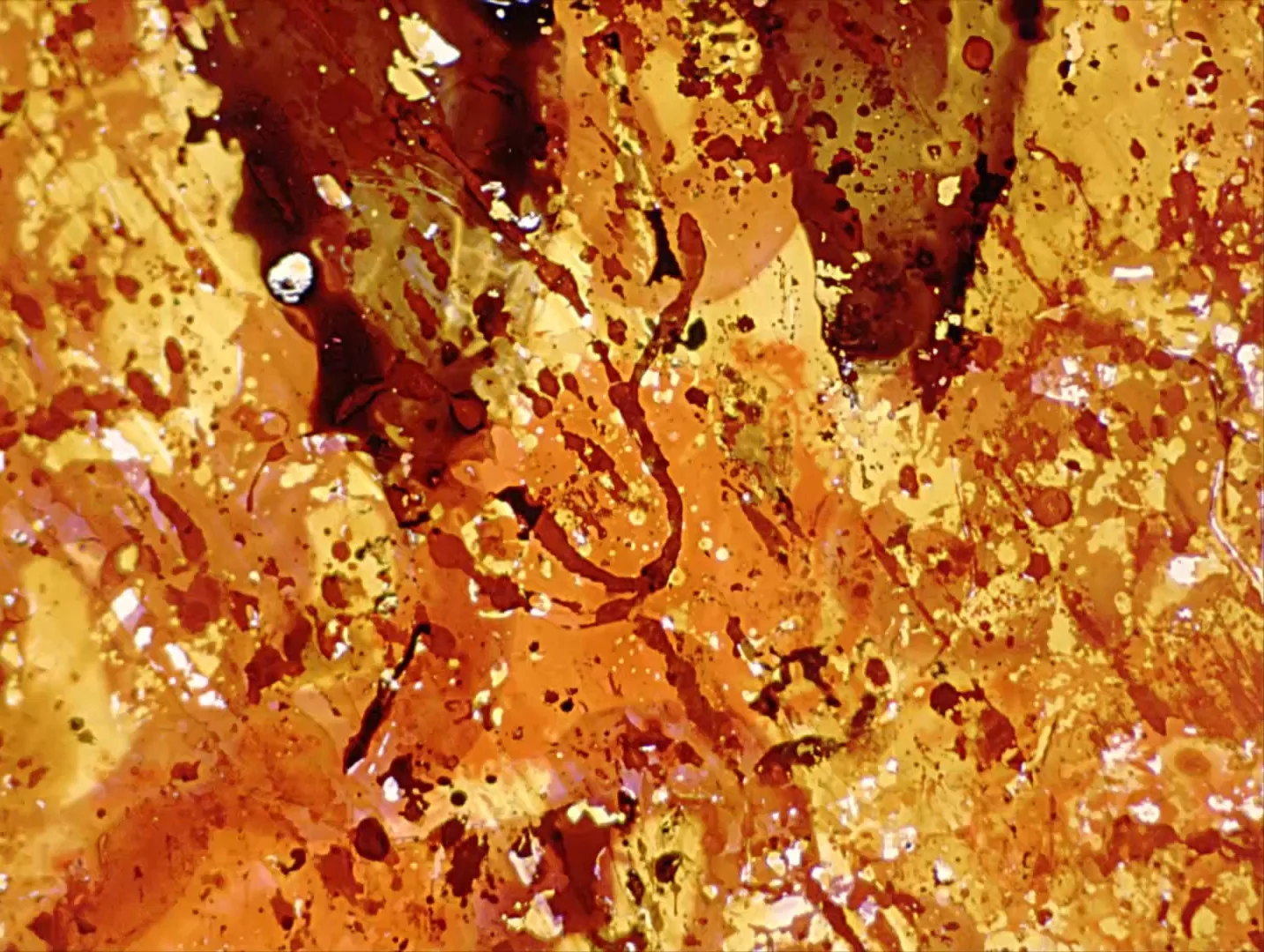 Untitled 1 Green-20036.jpg