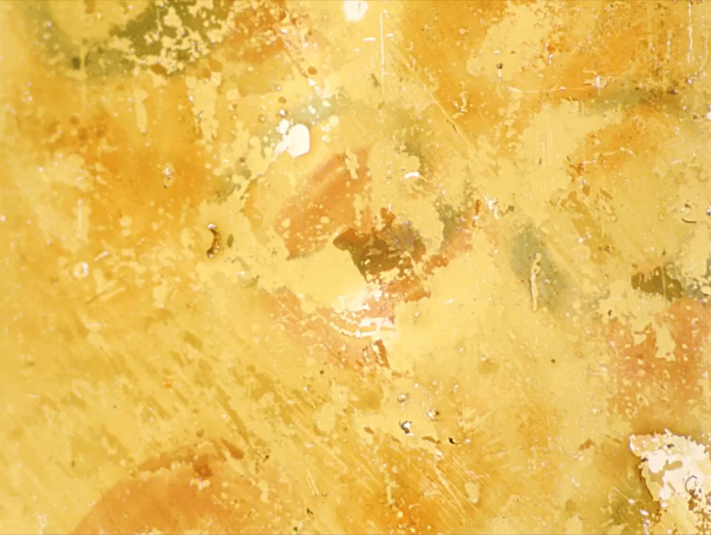 Untitled 2 Yellow Rust0008.jpg