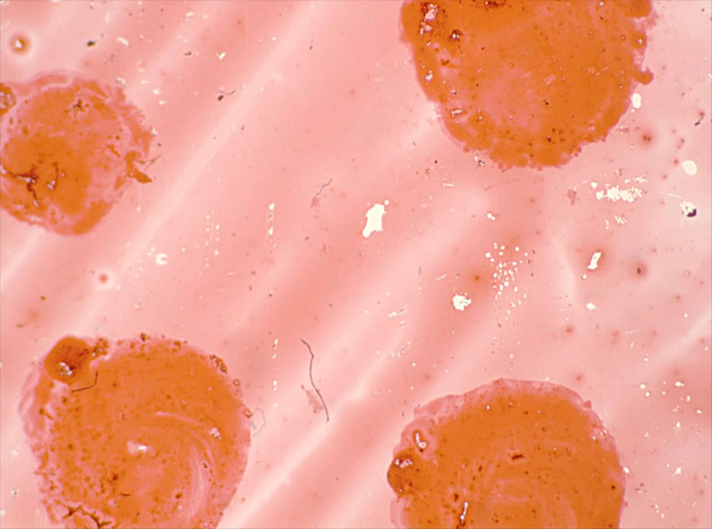 Untitled 3 Pink Yellow Red 0113.jpg