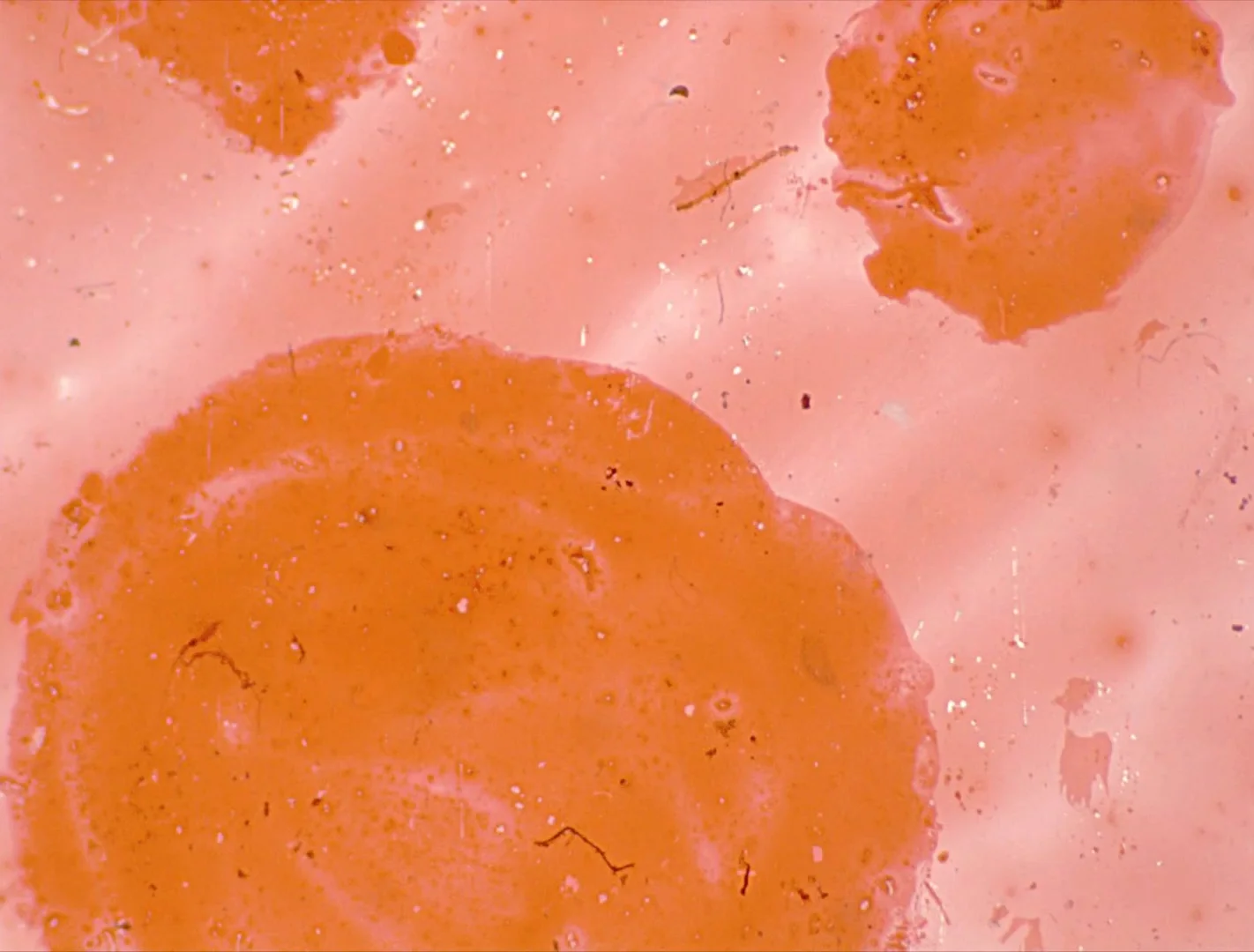 Untitled 3 Pink Yellow Red 0144.jpg
