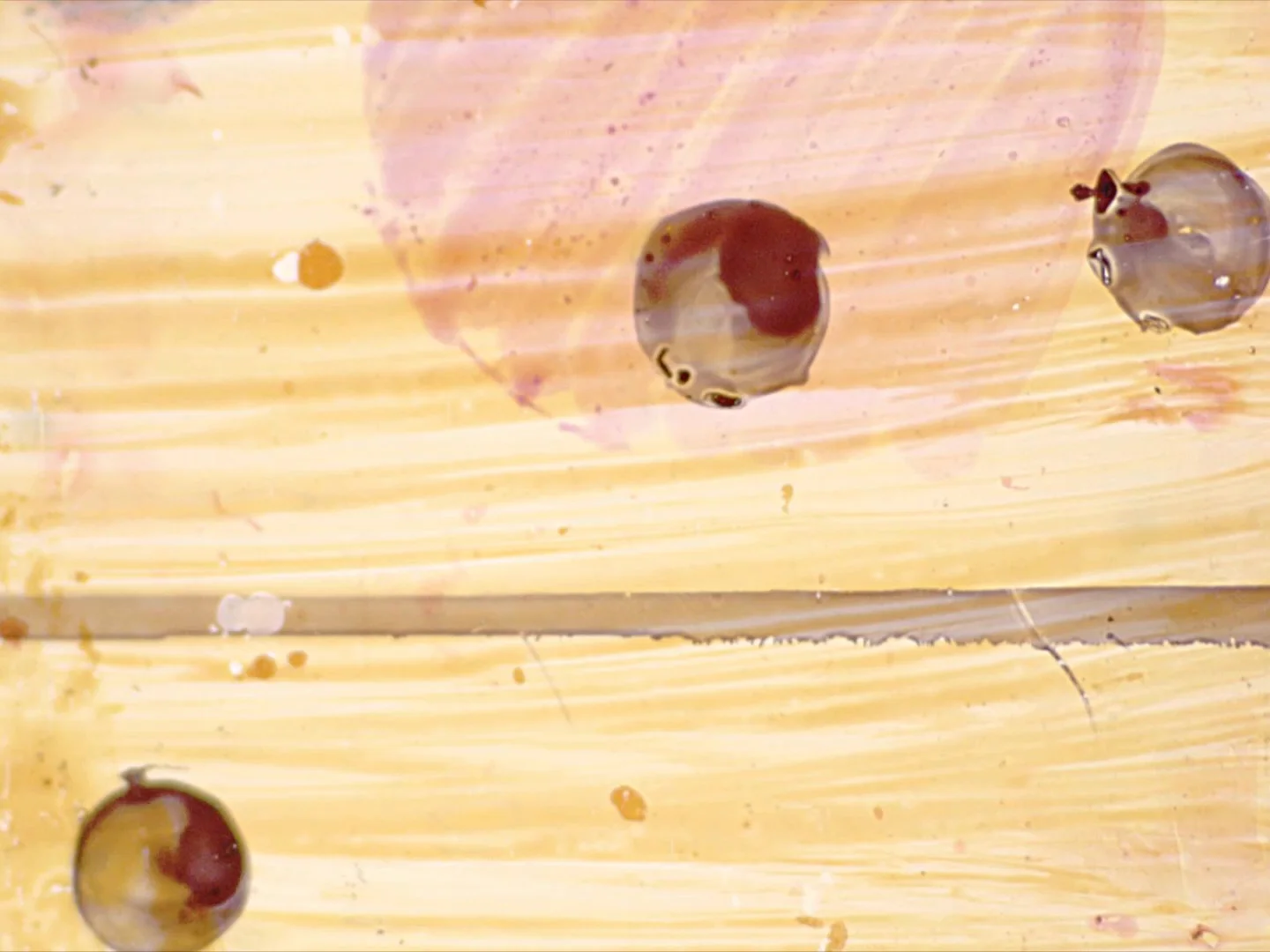 Untitled 8 Faded Rust0092.jpg