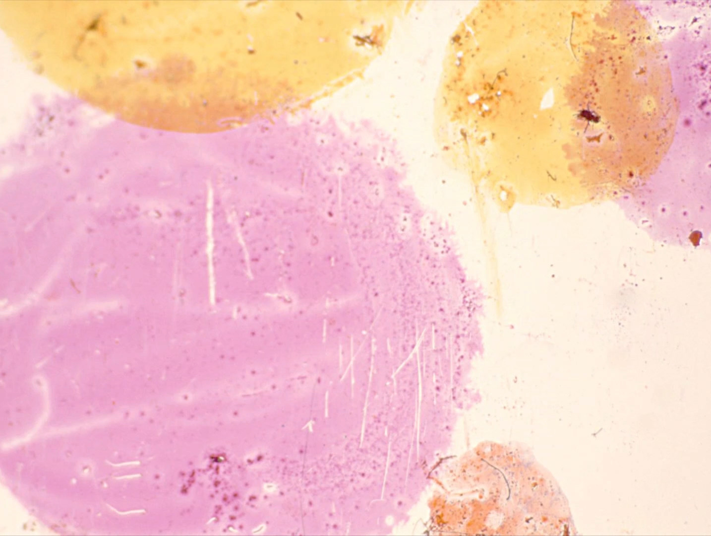 Untitled 11 Translucent Polka Dots0029.jpg