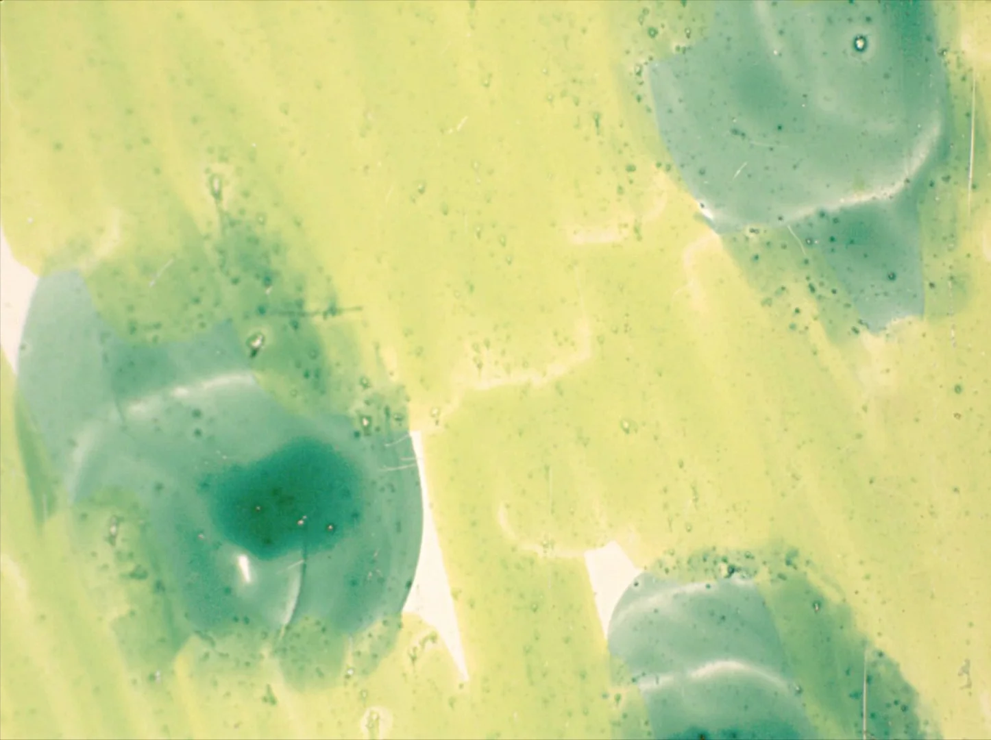 Untitled 15 Lime Rust0014.jpg