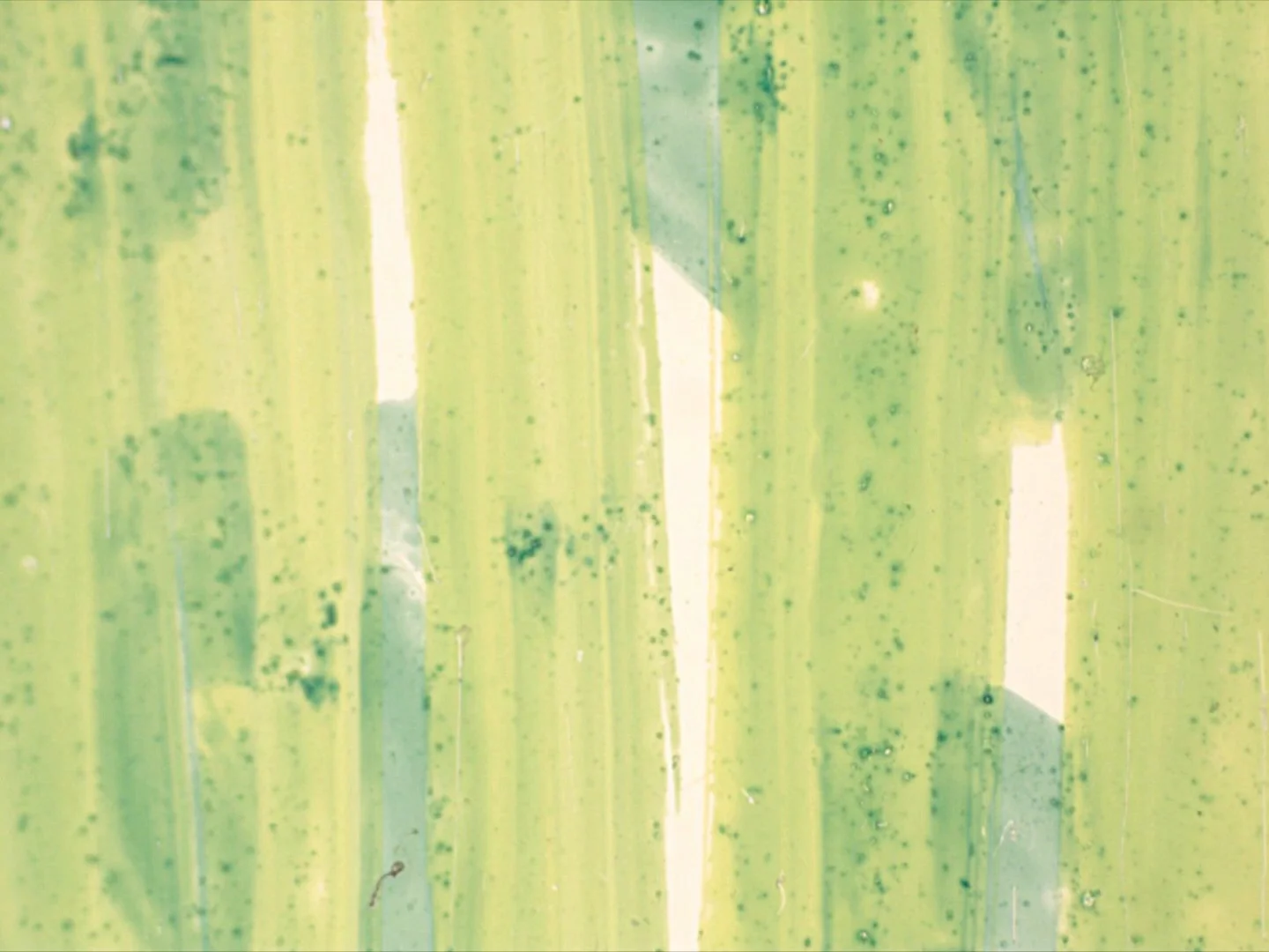 Untitled 15 Lime Rust0028.jpg