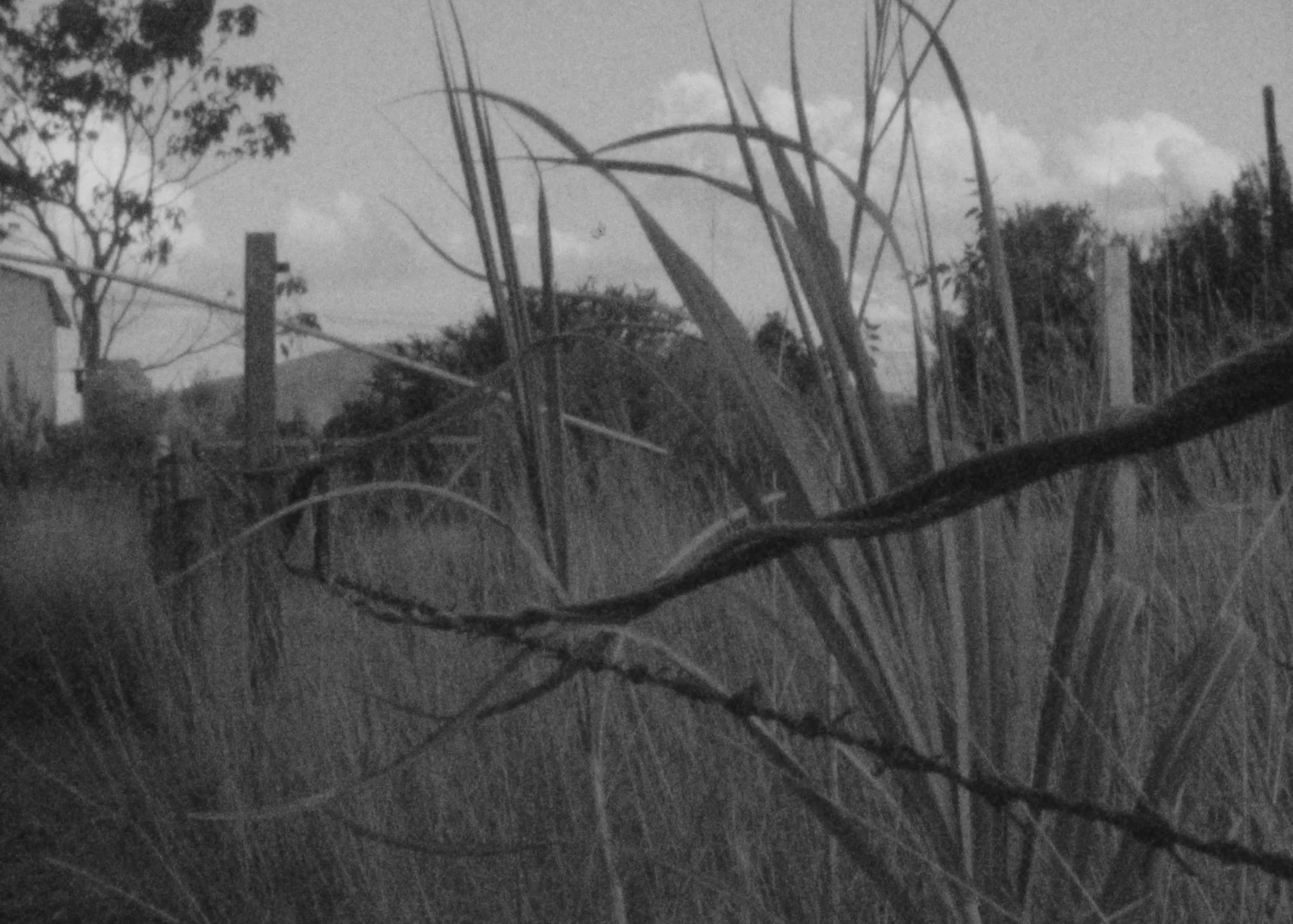 Edge of the Circles (2018)