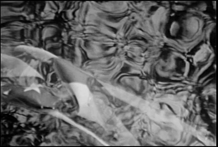 Toxic Patriotism (2017)