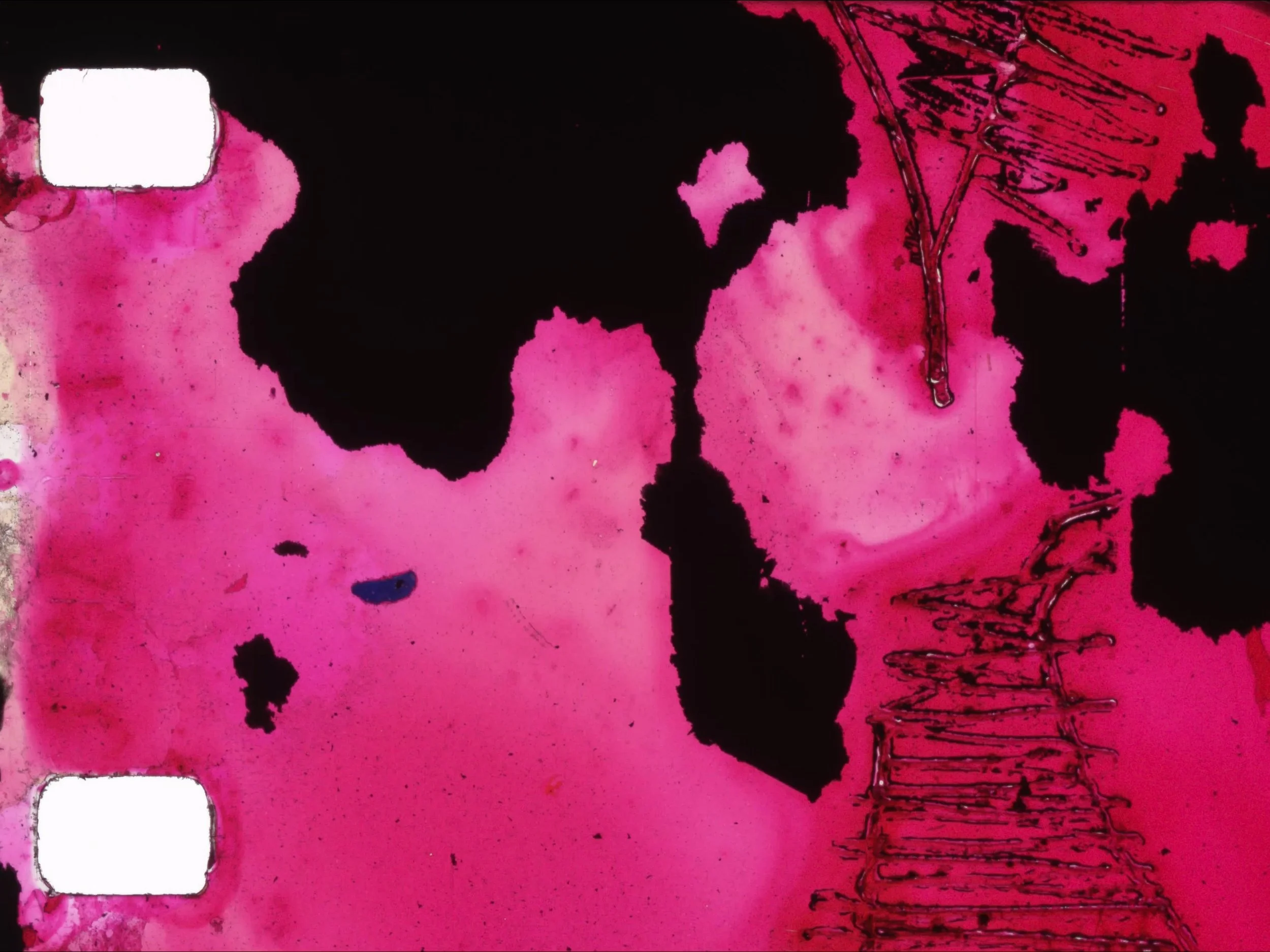 Untitled 33, (2026)