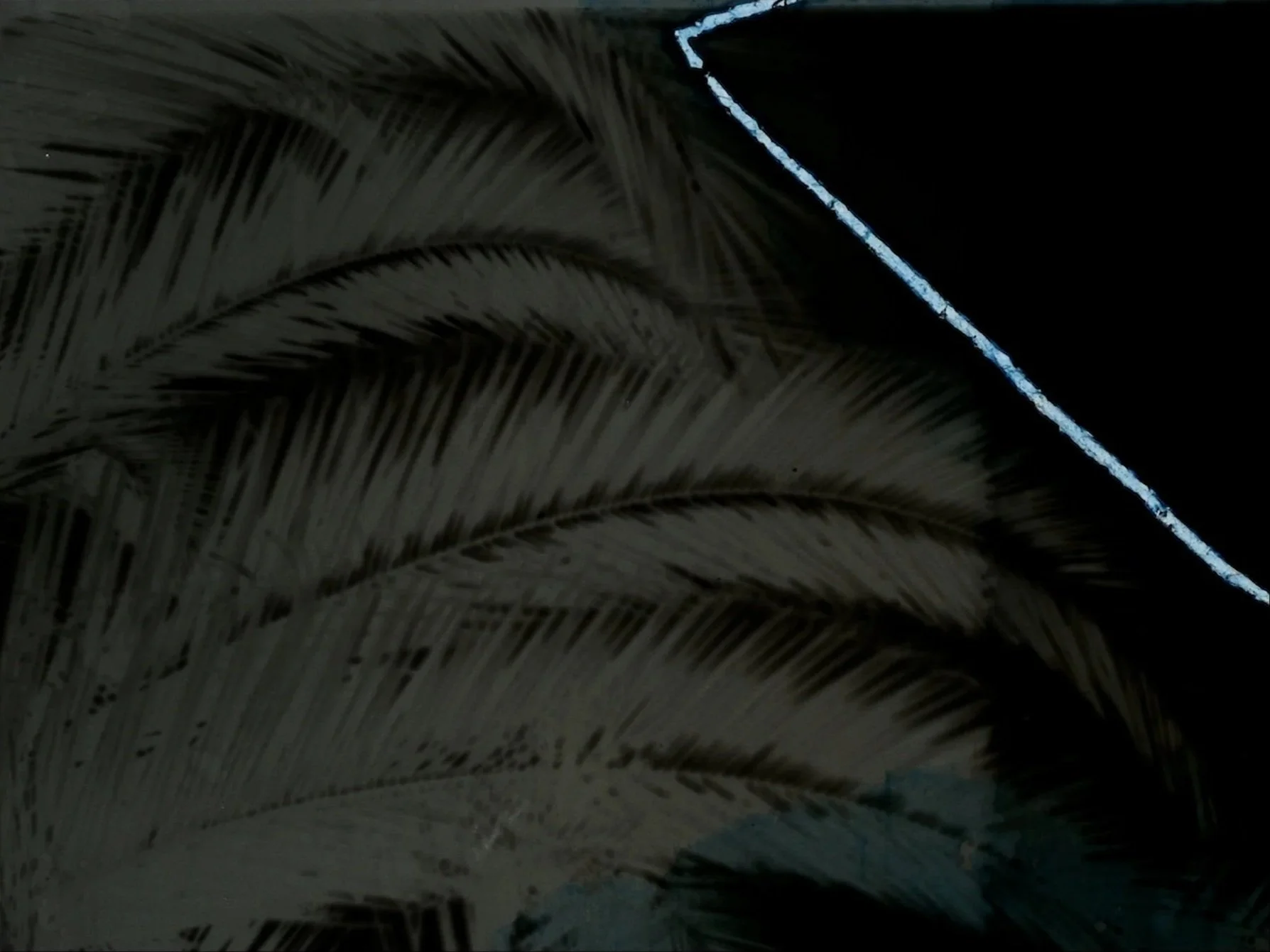 Untitled (Palm Trees) (2018)