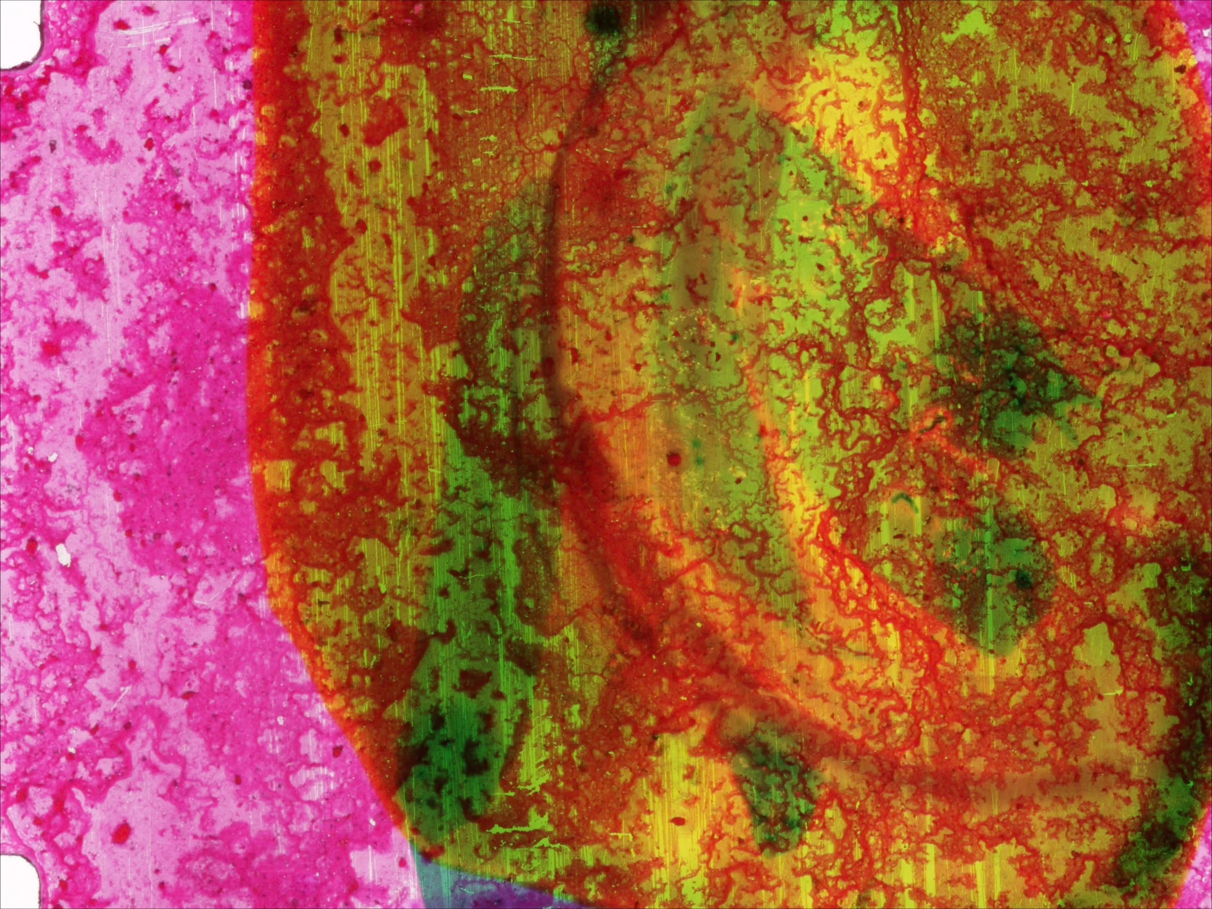 Untitled 31, (2023)