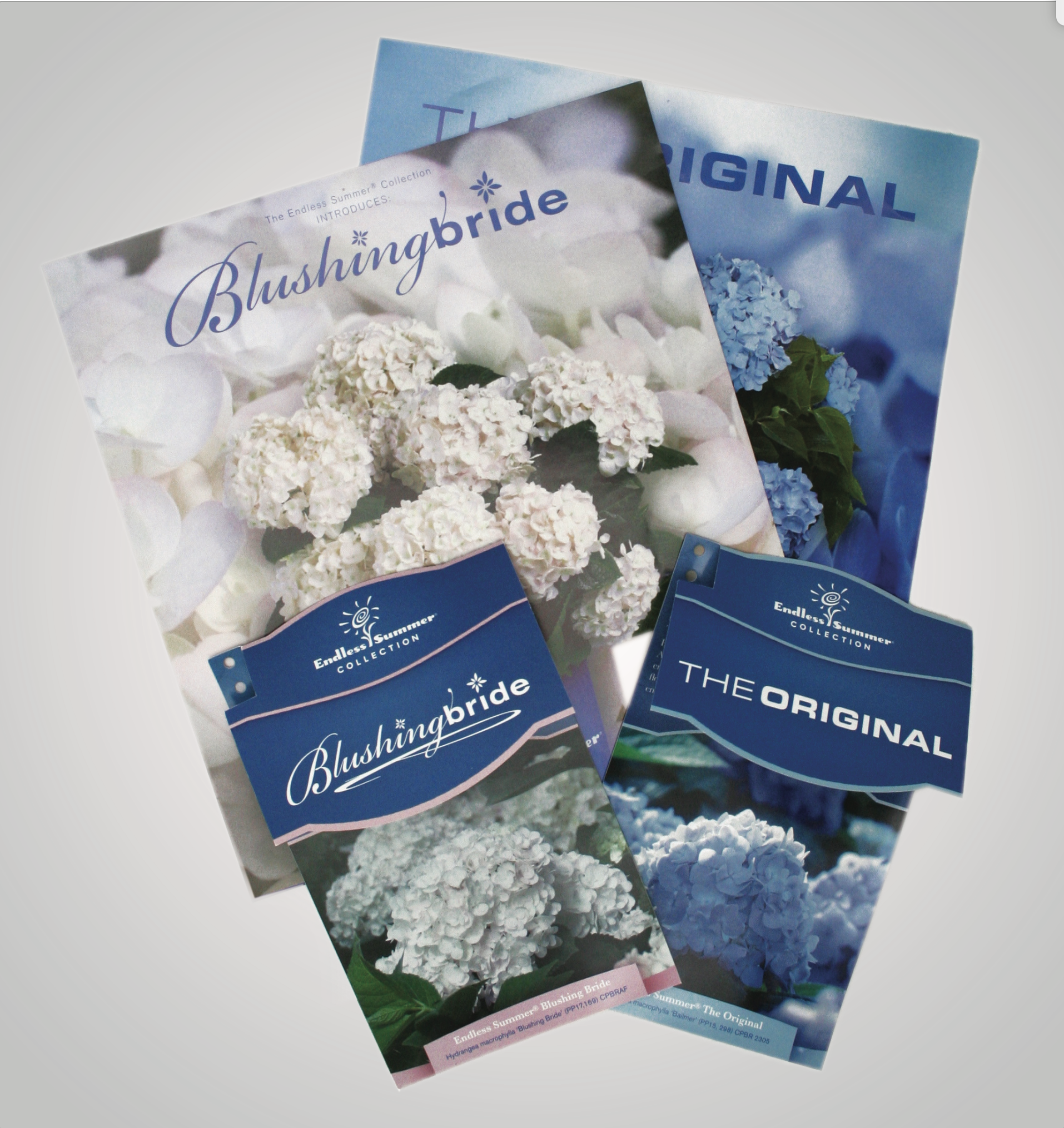 Screen Shot 2018-12-18 at 1.29.36 PM.png