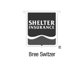Bree Switzer Shelter Ins.png