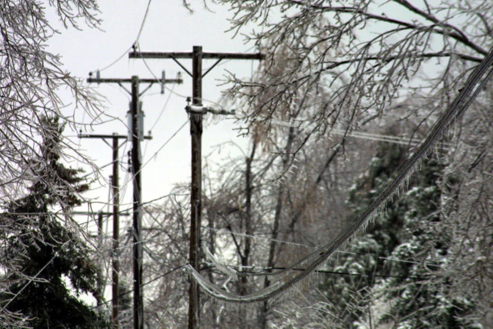 powerlineswinter.jpg