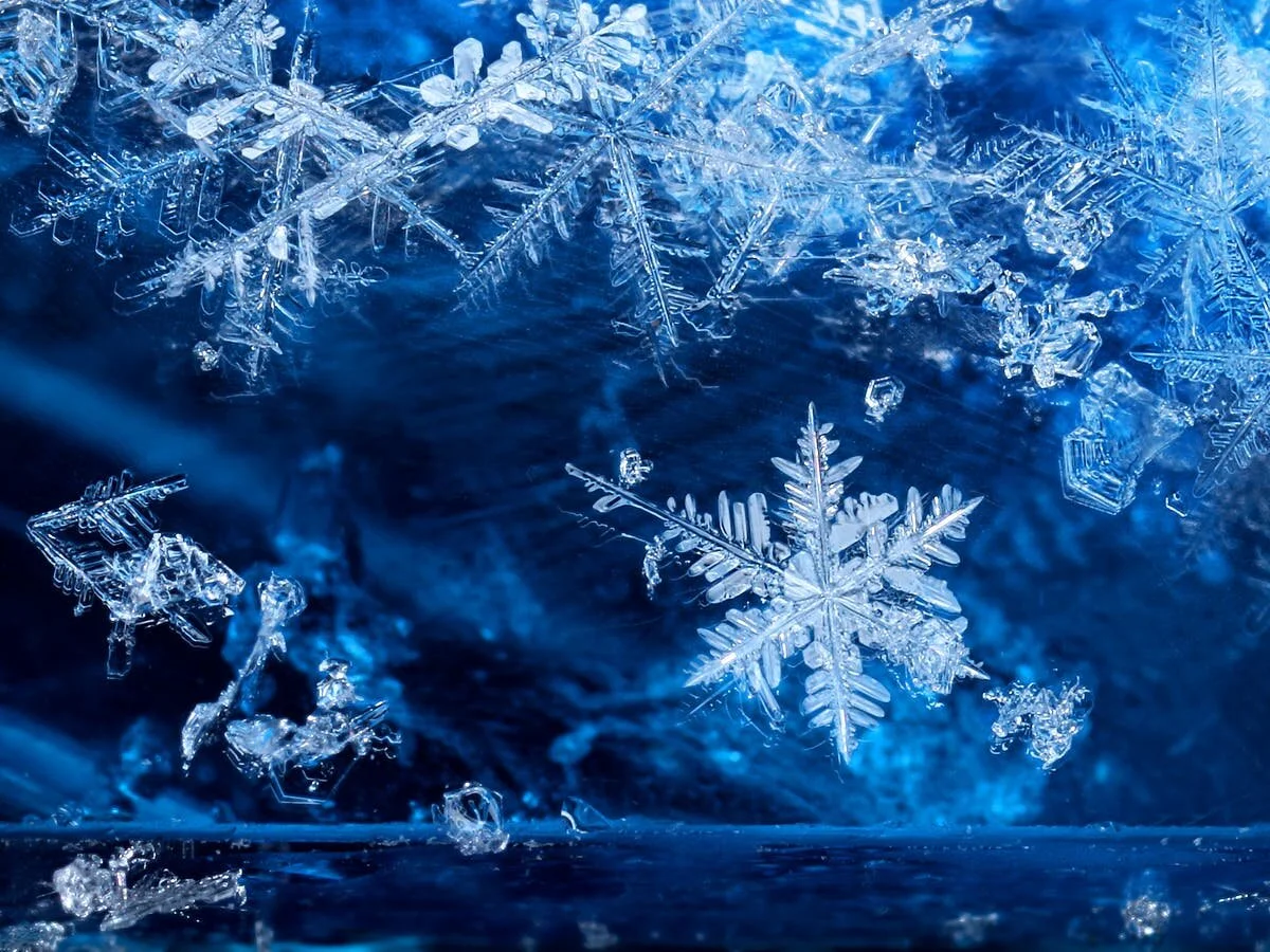 Weathering a Winter Storm Safely