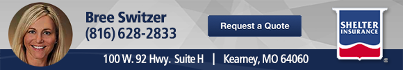 Bree Switzer eNews banner.png