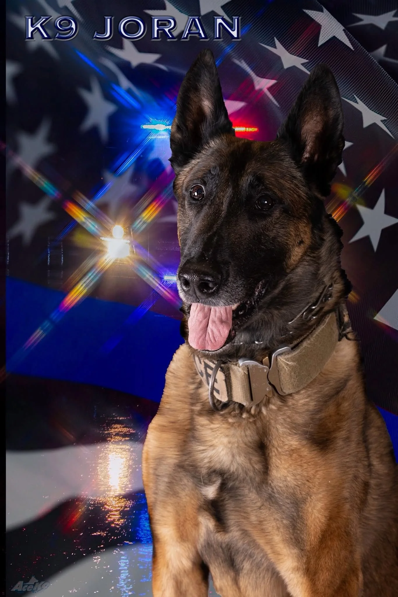 Retired K-9 Officer Joran Remembered for Dedicated Service