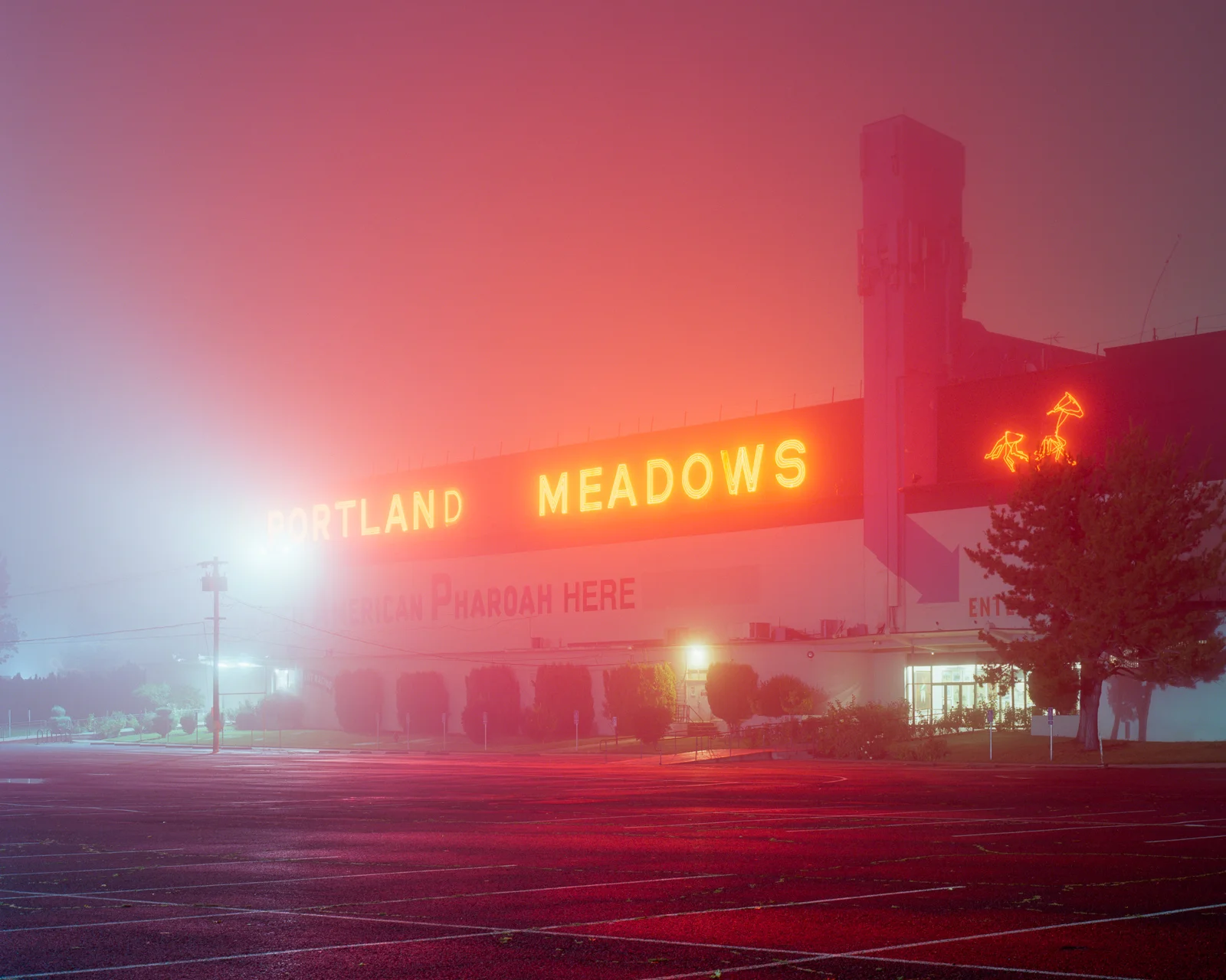 portlandmeadows.jpg